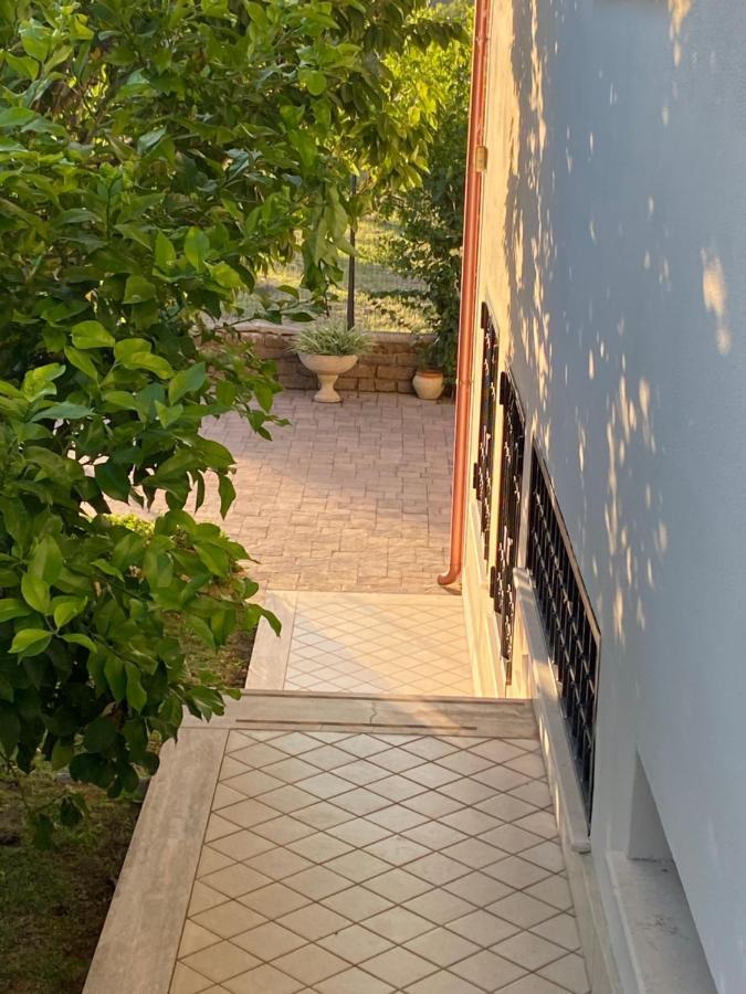 Alloggio Turistico Villa Camelia Lavinio Anzio Bagian luar foto